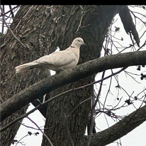 Meet your Posher, Mitchell